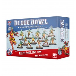 Amazon Blood Bowl Team:...