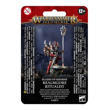 Warhammer Age of Sigmar: Realmgore Ritualist