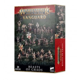 Warhammer Age of Sigmar Vanguard: Beasts of Chaos