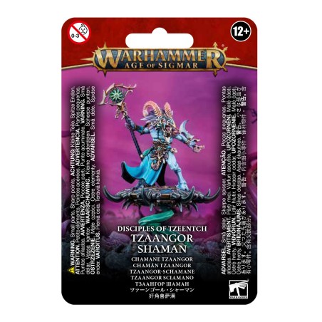 Warhammer Age of Sigmar: Disciples of Tzeentch: Tzaangor Shaman