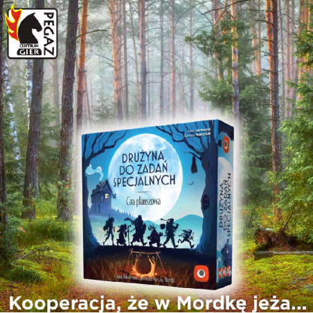 Drużyna do Zadań Specjalnych
